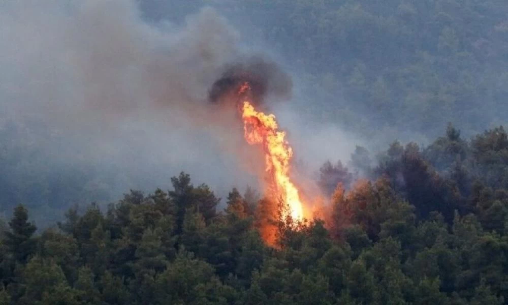Δύσκολο το έργο της πυροσβεστικής: 62 οι δασικές πυρκαγιές το τελευταίο 24ωρο